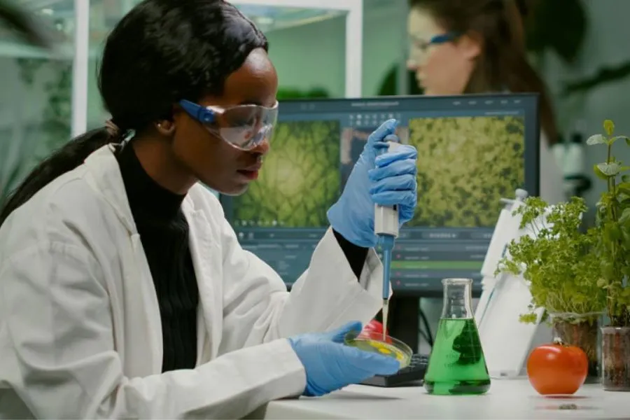 Jak biotechnologia rewolucjonizuje przemysł spożywczy?